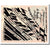 Billet, Allemagne, Doberan Bad, 25 Pfennig, Animaux, O.D, Undated, NEUF