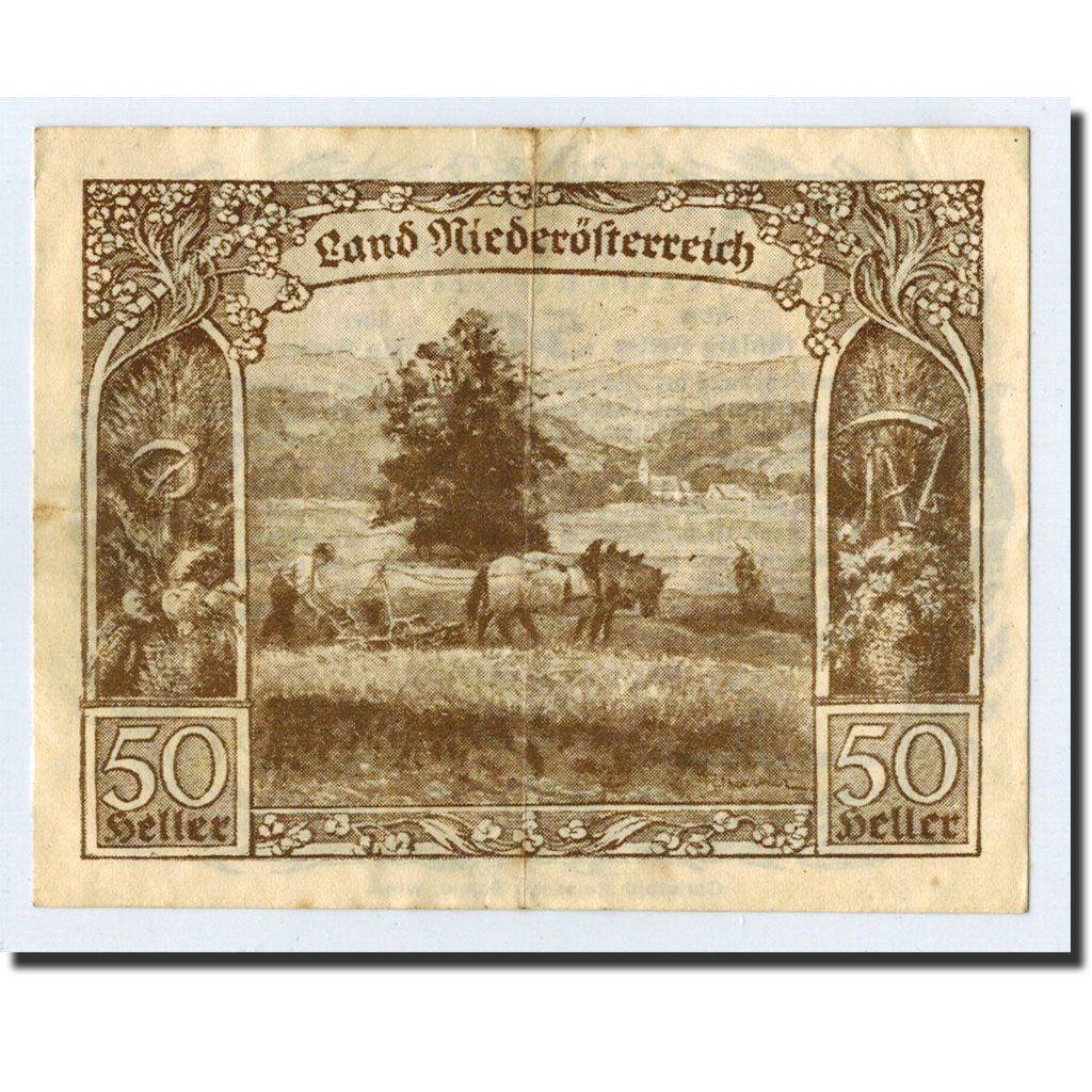 Geldschein, Österreich, Vienne, 50 Heller, agriculteur, 1920, UNZ-