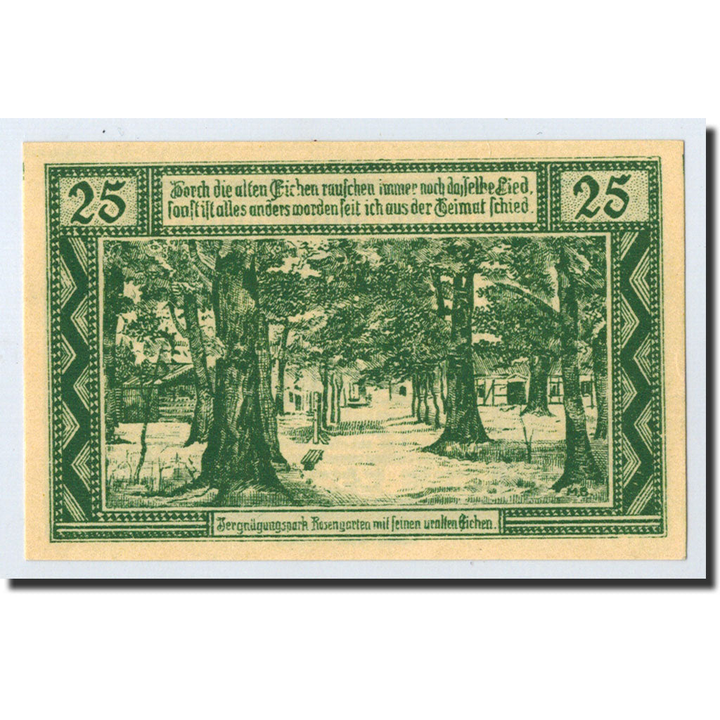 Banknote, Germany, Neuhaus a.d Elbe, 25 Pfennig, Maison, 1921, 1921-04-01
