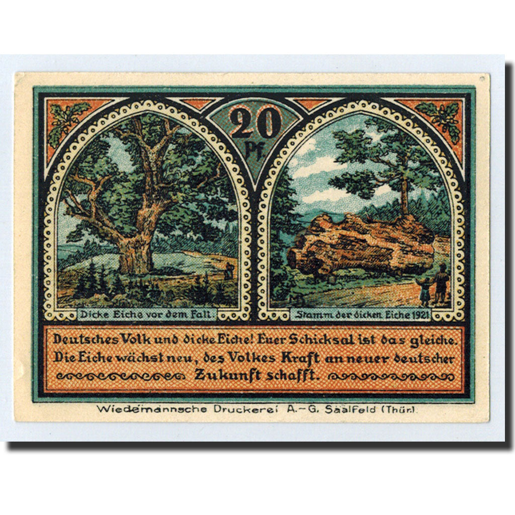 Banknote, Germany, Roda, 20 Pfennig, paysage, 1921, 1921-10-10, UNC(63)