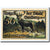 Biljet, Duitsland, Stolberg, 50 Pfennig, Animaux, O.D, Undated, SPL, Mehl:1273.1