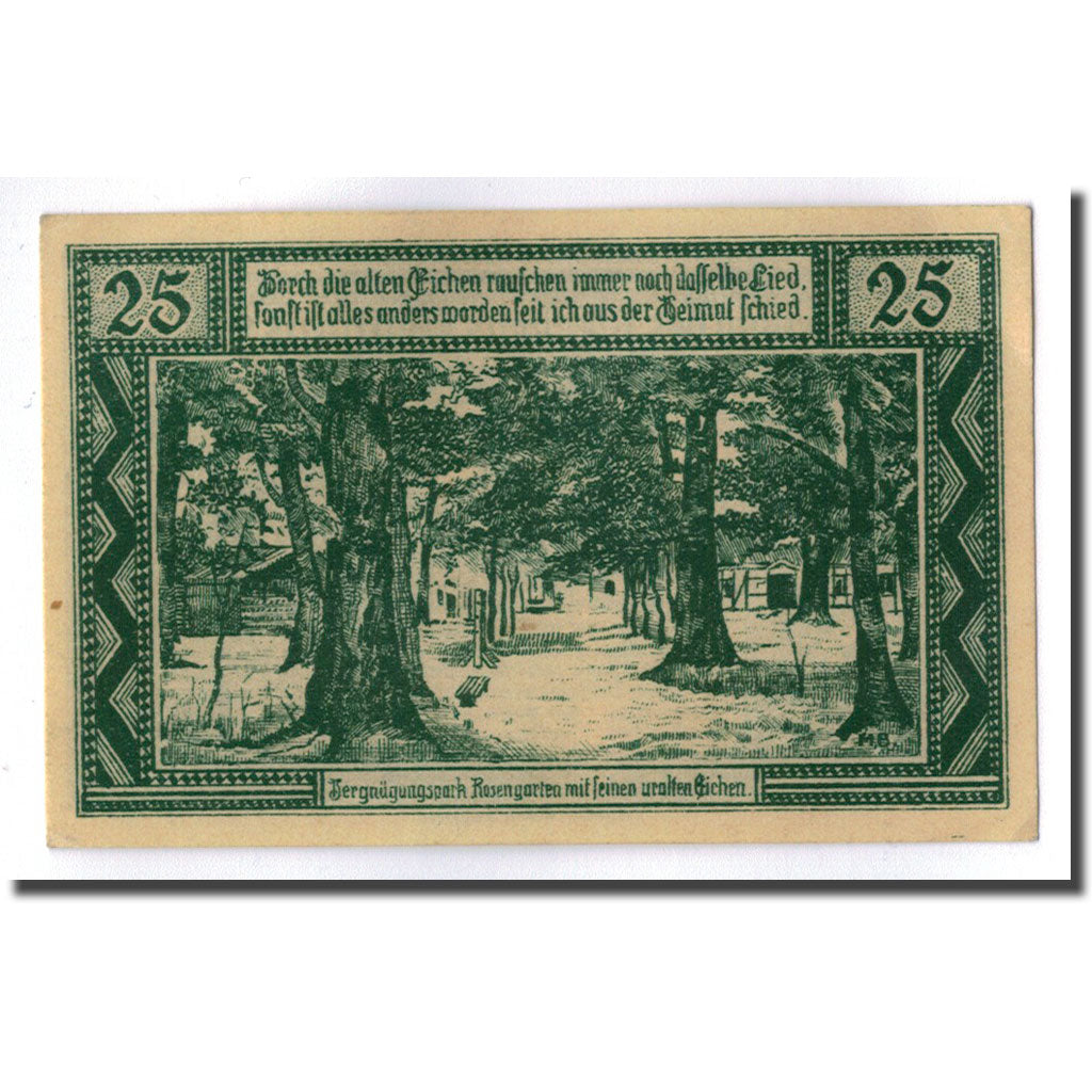 Banconote, Germania, Neuhaus a.d Elbe, 25 Pfennig, paysage, 1921, 1921-04-01