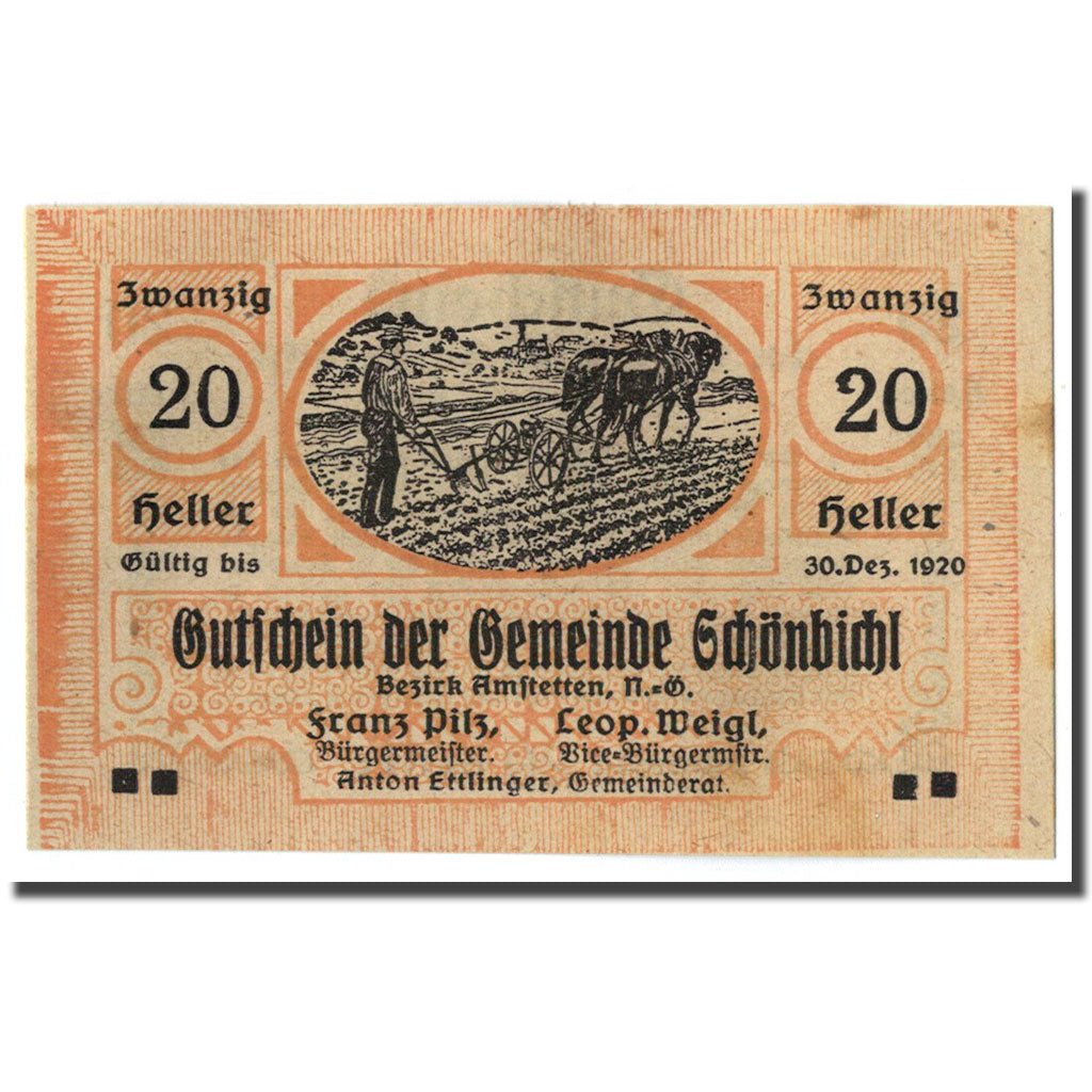 Geldschein, Österreich, Schonbichl, 20 Heller, agriculteur, 1920, 1920-03-21