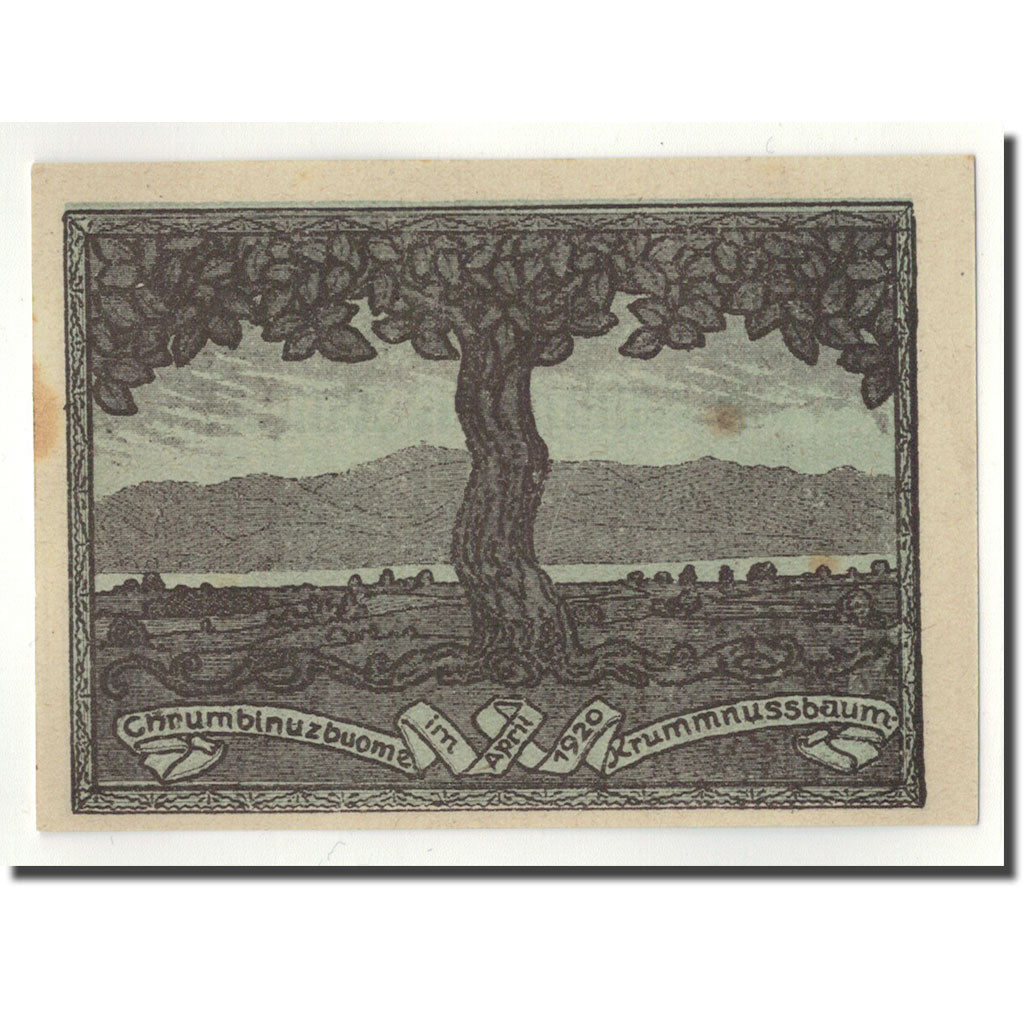 Geldschein, Österreich, Krummnusbaum, 20 Heller, Usine, 1920, UNZ-, Mehl:488 Ia