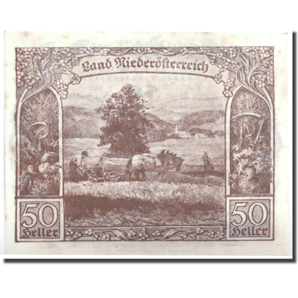 Geldschein, Österreich, Niederösterreich, 50 Heller, paysage, 1920