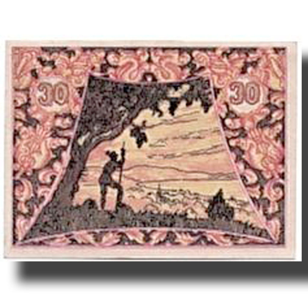 Banknote, Austria, Seewalchen am Attersee, 30 Heller, paysage, 1920, 1920-05-08