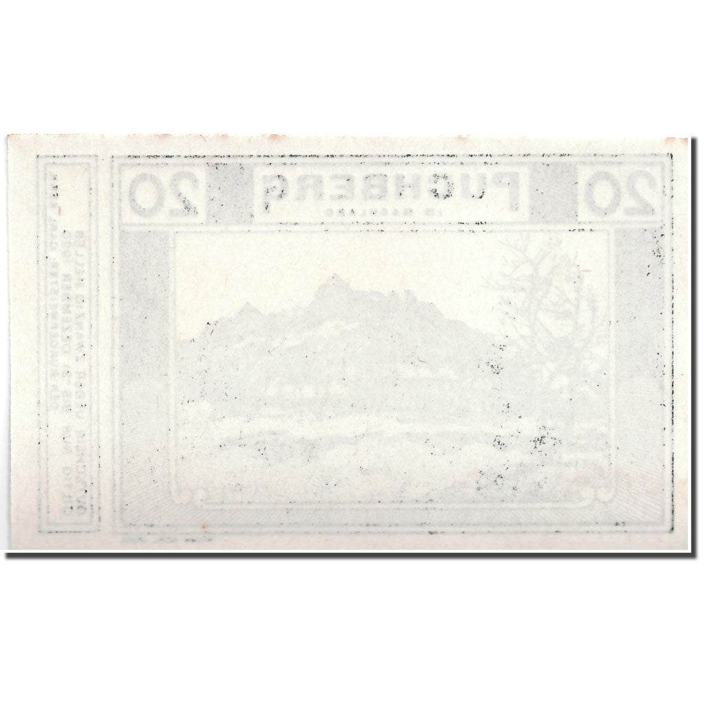 Geldschein, Österreich, Puchberg, 20 Heller, paysage, UNZ-, Mehl:787 Ia1
