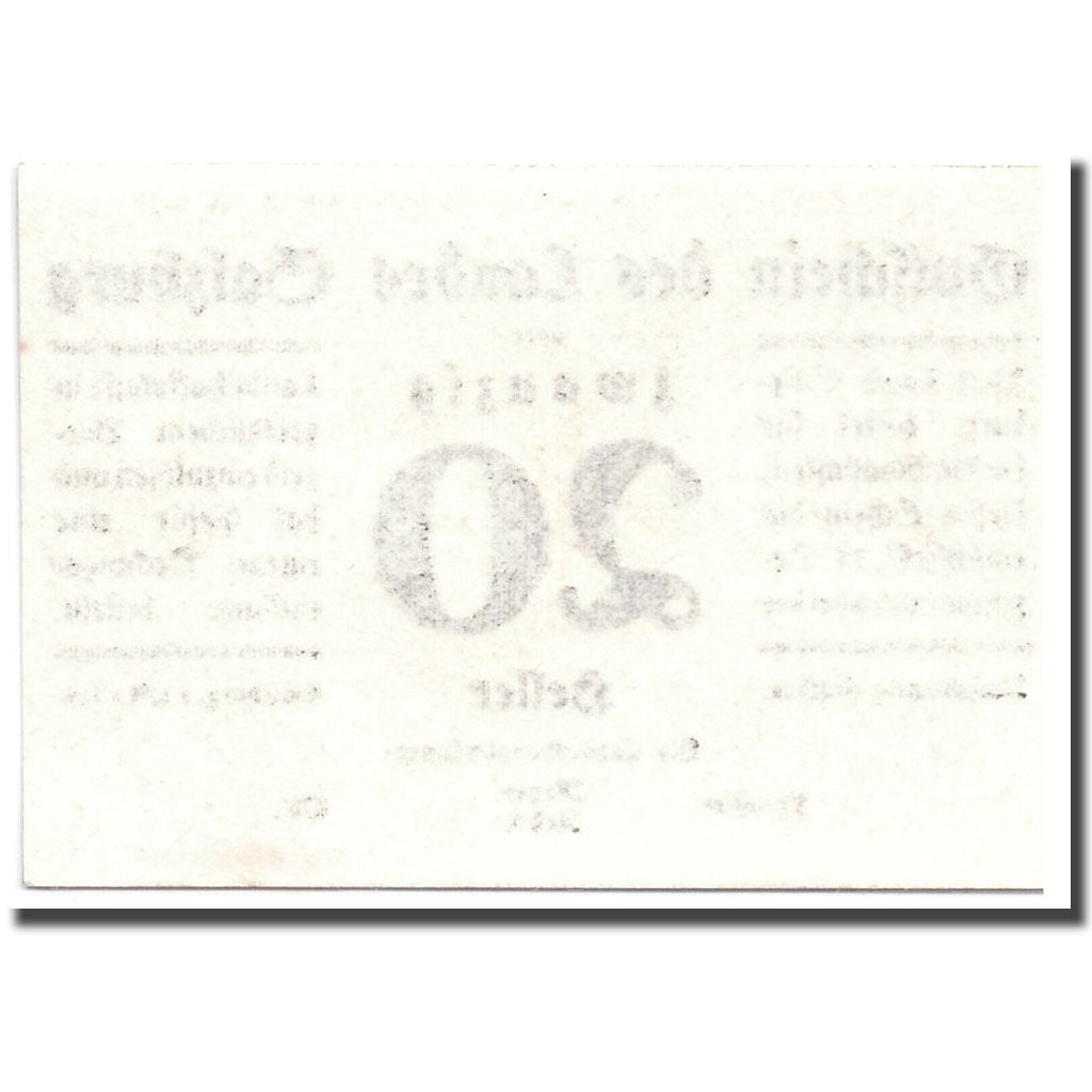 Banknote, Austria, Salzburg, 20 Heller, graphique, 1919, 1919-10-01, UNC(63)