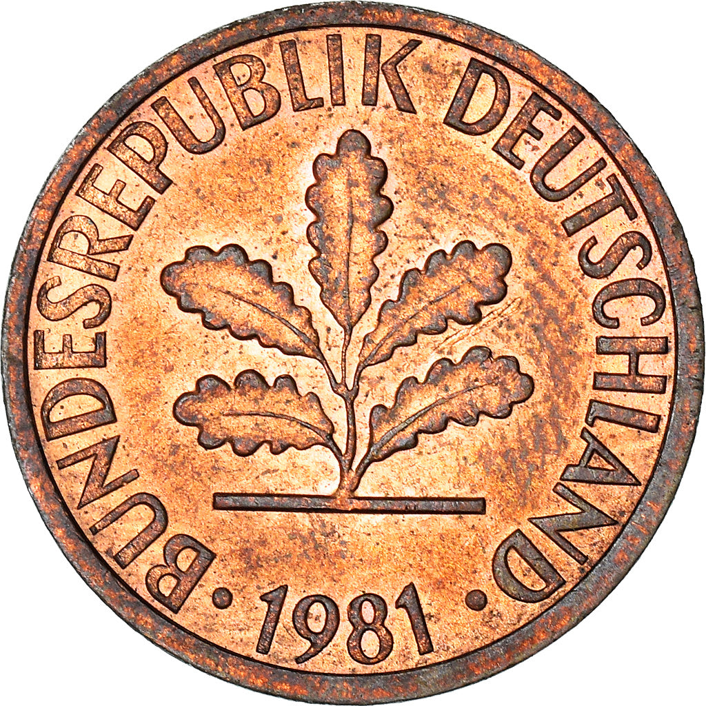 Coin, GERMANY - FEDERAL REPUBLIC, Pfennig, 1981, Stuttgart, EF(40-45), Copper