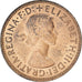 Monnaie, Grande-Bretagne, Elizabeth II, 1/2 Penny, 1955, SUP, Bronze, KM:896