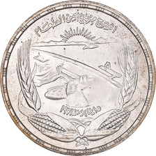 Moeda, Egito, Pound, 1973, MS(63), Prata, KM:439