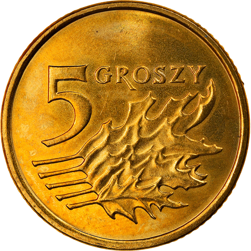 Coin, Poland, 5 Groszy, 2005, Warsaw, MS(64), Brass, KM:278