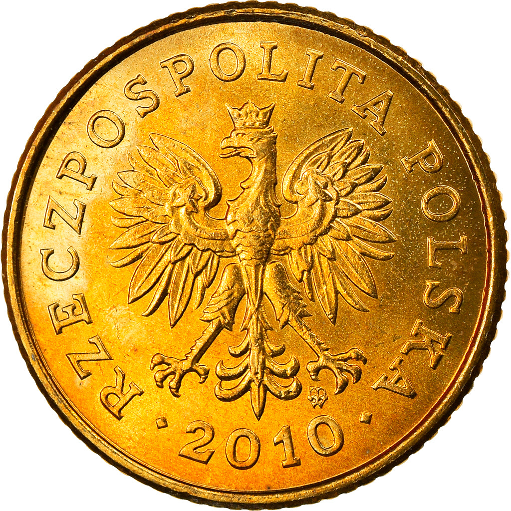 Coin, Poland, Grosz, 2010, Warsaw, MS(63), Brass, KM:276