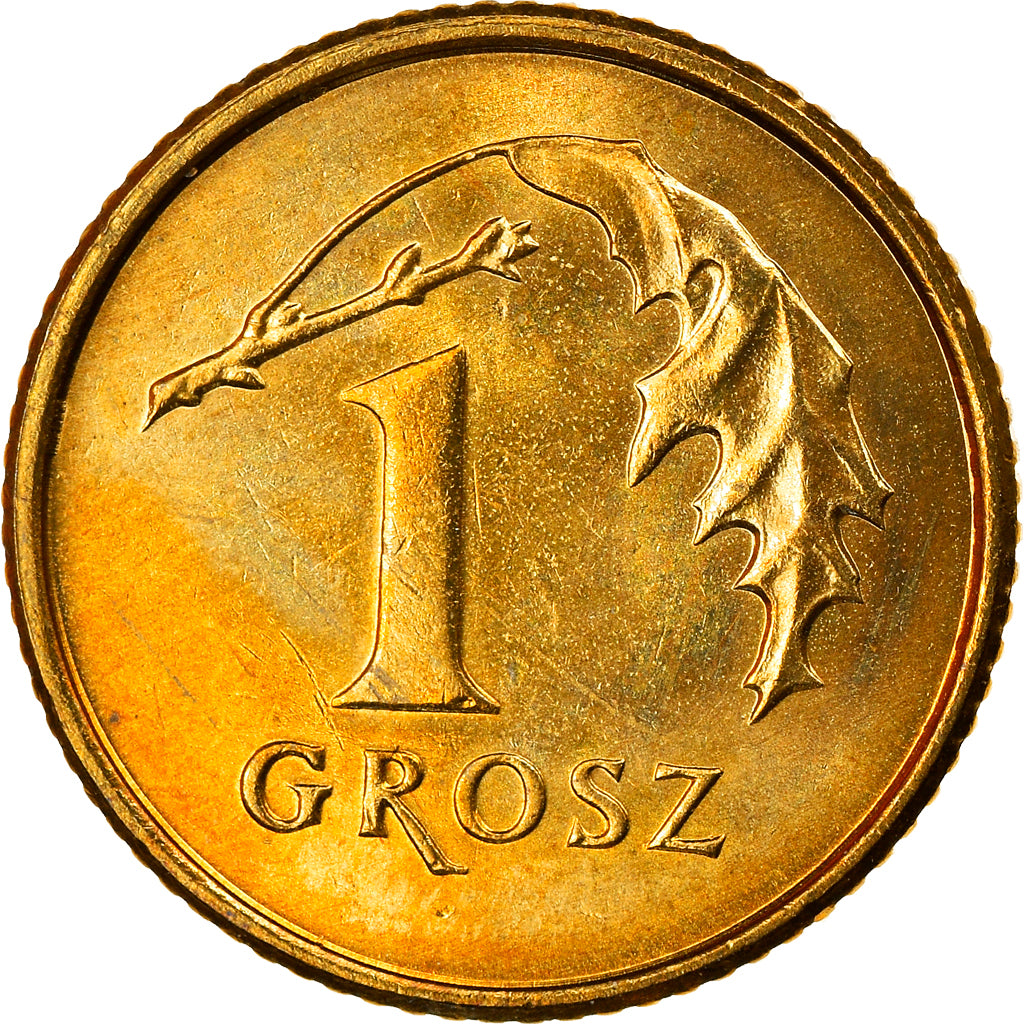 Coin, Poland, Grosz, 2010, Warsaw, MS(63), Brass, KM:276