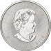 Canadá, Elizabeth II, 5 dollars, 1 oz, Maple Leaf, 2015, Ottawa, Proof, Plata