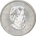 Canada, Elizabeth II, 5 dollars, 1 oz, Maple Leaf, 2015, Ottawa, Proof, Argento