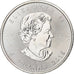 Canadá, Elizabeth II, 5 dollars, 1 oz, Maple Leaf, 2015, Ottawa, Proof, Prata