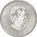 Canada, Elizabeth II, 5 dollars, 1 oz, Maple Leaf, 2015, Ottawa, Proof, Zilver