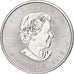 Canada, Elizabeth II, 5 dollars, 1 oz, Maple Leaf, 2015, Ottawa, Proof, Argento
