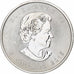 Canadá, Elizabeth II, 5 dollars, 1 oz, Maple Leaf, 2015, Ottawa, Proof, Plata