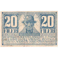 Romania, Timișoara, 20 Fileri, 1919-12-01, EF(40-45)