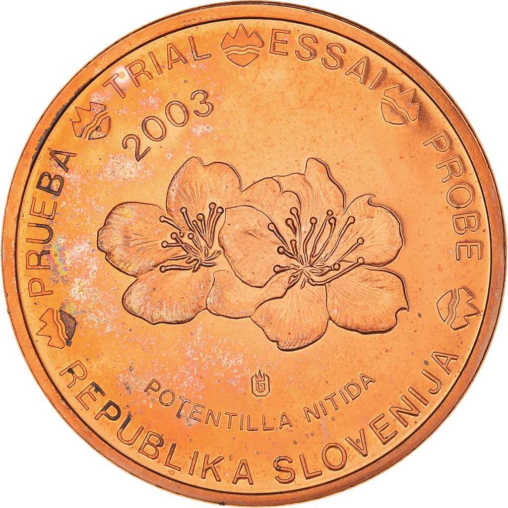 Eslovénia, 5 Euro Cent, 2003, unofficial private coin, AU(55-58), Aço Cromado