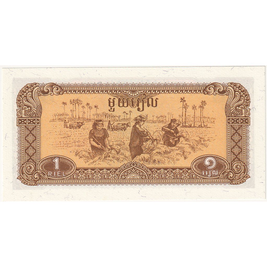 Cambogia, 1 Riel, 1979, KM:28a, FDS