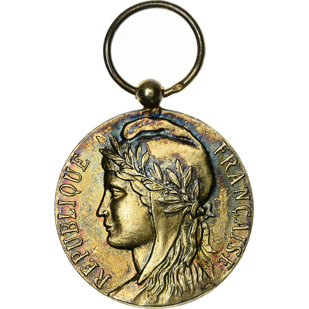Francia, Médaille d'honneur du travail, medaglia, 1984, Eccellente qualità
