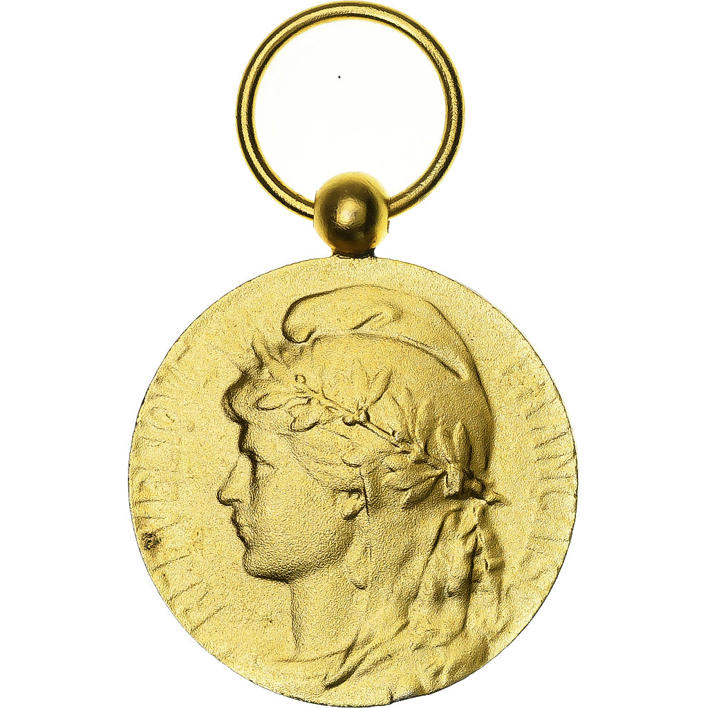 Francja, Médaille d'honneur du travail, medal, 1987, Doskonała jakość