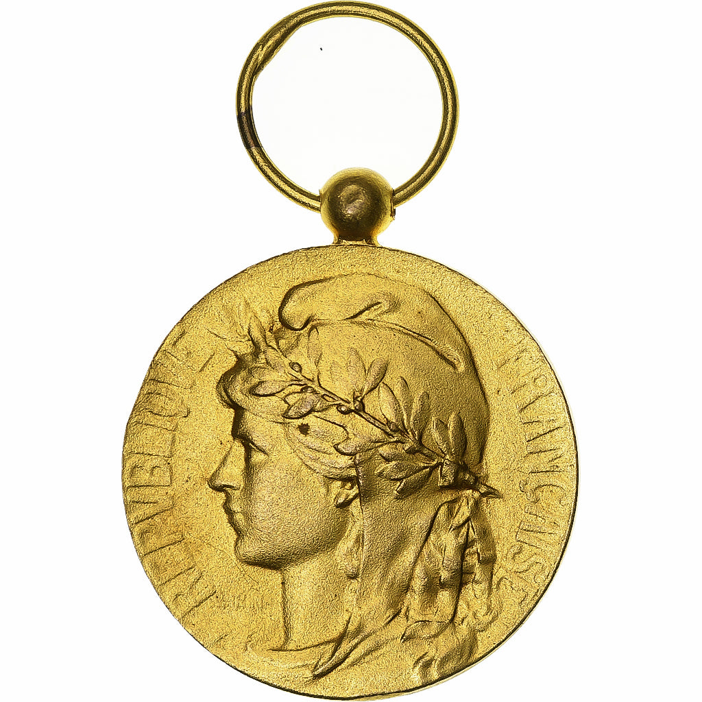 Francia, Médaille d'honneur du travail, medaglia, 1974, Eccellente qualità