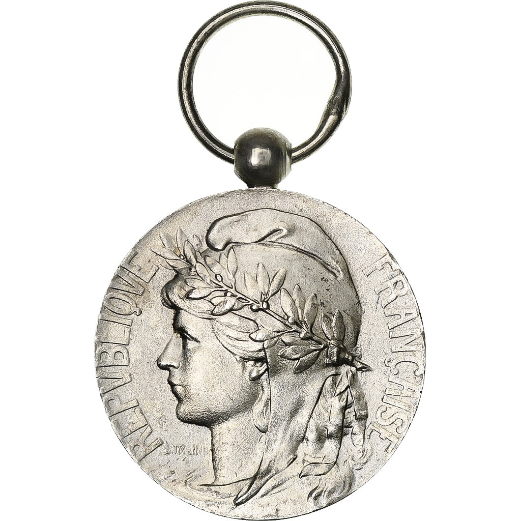 Francja, Médaille d'honneur du travail, medal, 1982, Doskonała jakość