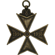 Belgio, Croix des Déportés, medaglia, 1914-1918, Eccellente qualità, Bronzo