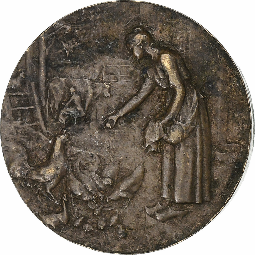 France, Medal, Henri Dubois, Médailles, Paris, Bronze, Dubois.H, VF(30-35)