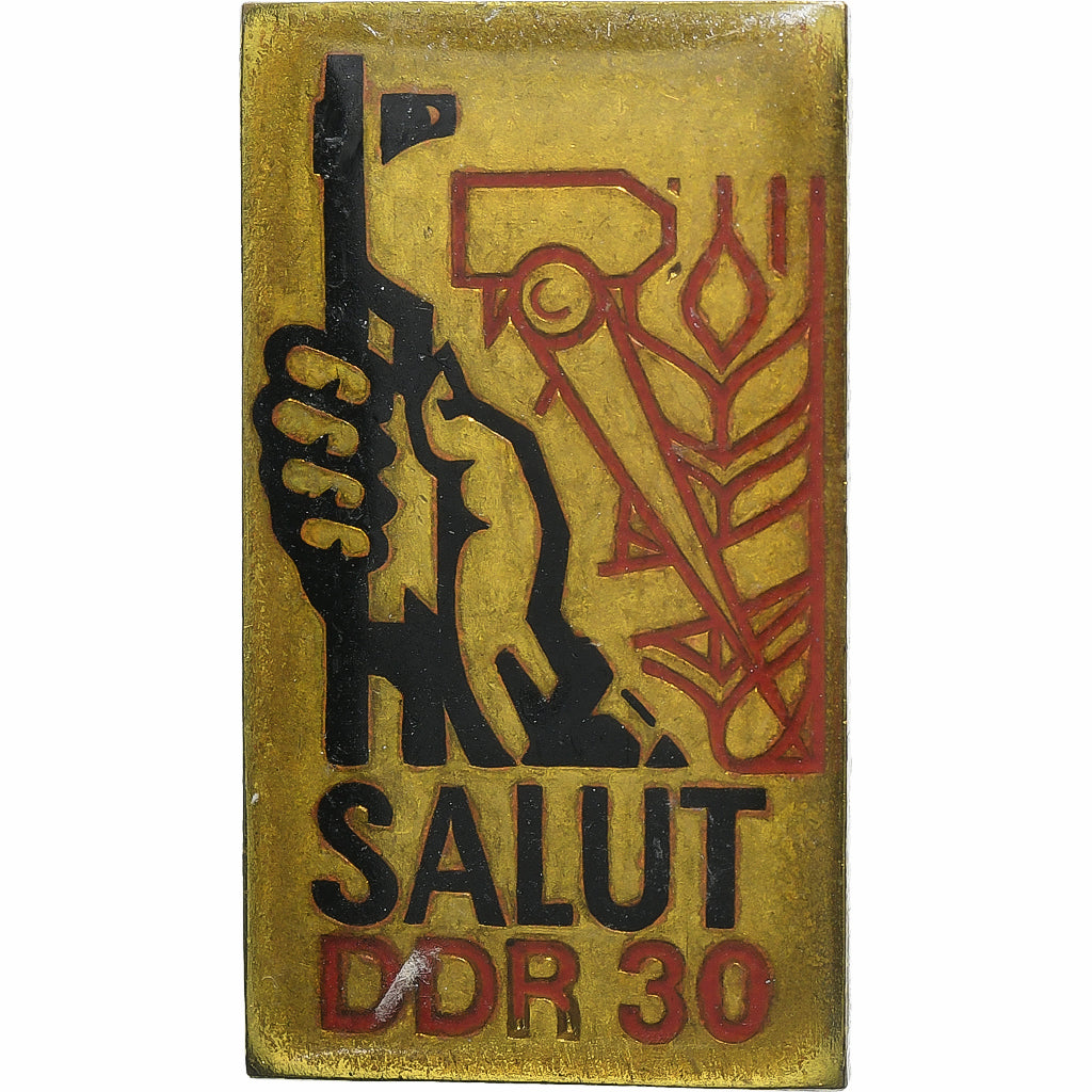 Germany, Broche, Salut, DDR 30, 1979, Brass, EF(40-45)