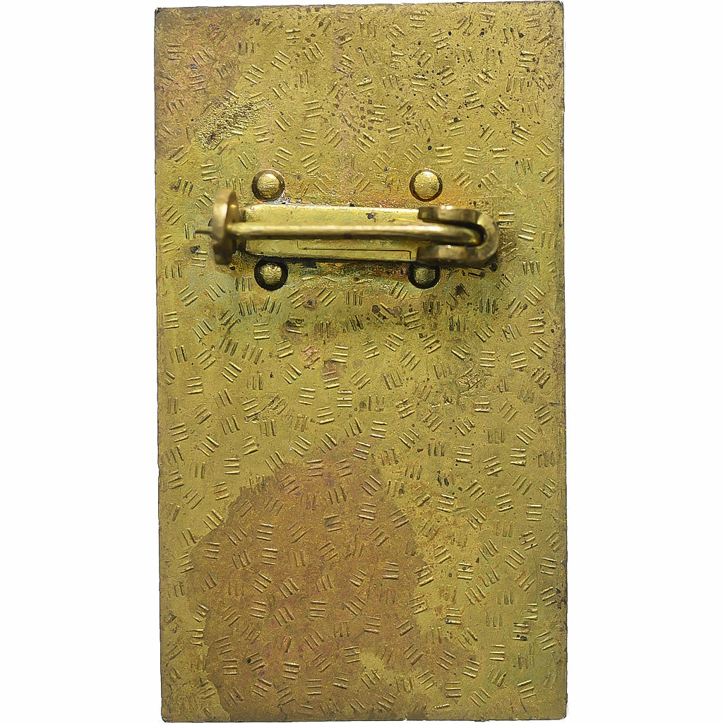 Germany, Broche, Salut, DDR 30, 1979, Brass, EF(40-45)