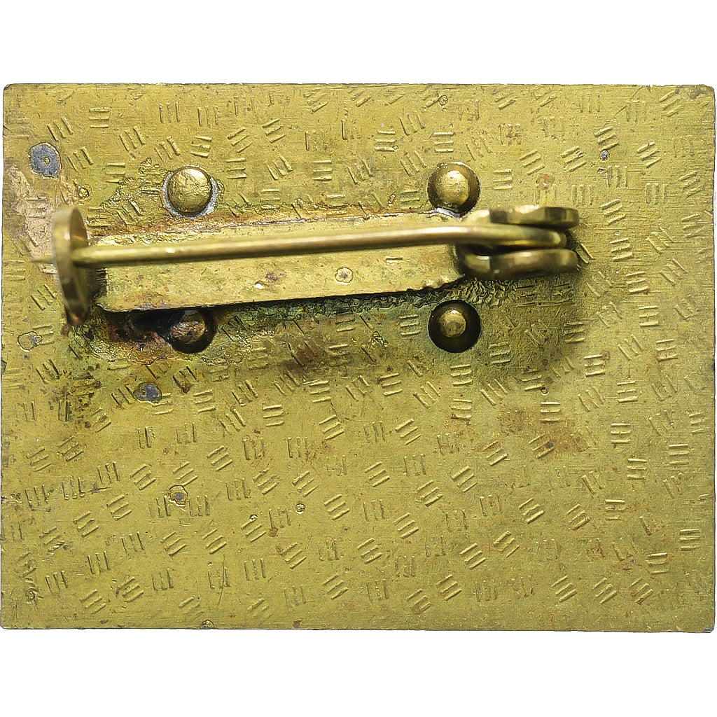 Germany, Broche, X Partei Tag, Kampf Position, Brass, EF(40-45)