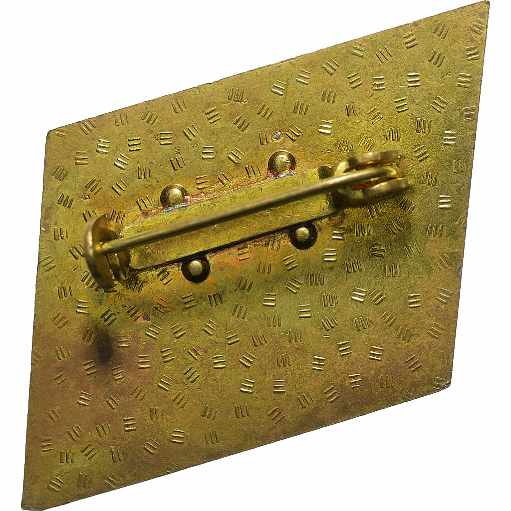 Niemcy, Broche, IX Partei Tag, Kampf Kurs, Mosiądz, EF(40-45)