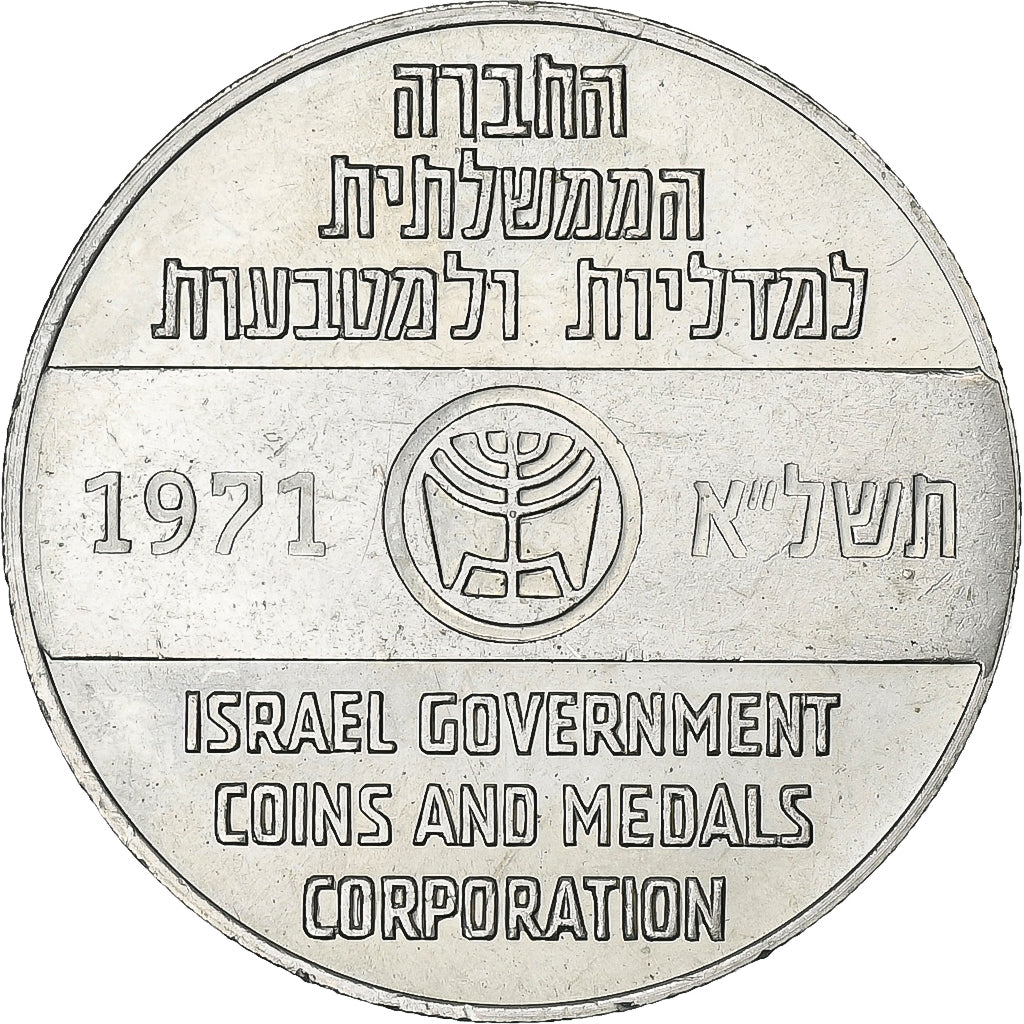 Israel, Medal, Homage to I.A.F, 1971, Nickel-brass, AU(55-58)