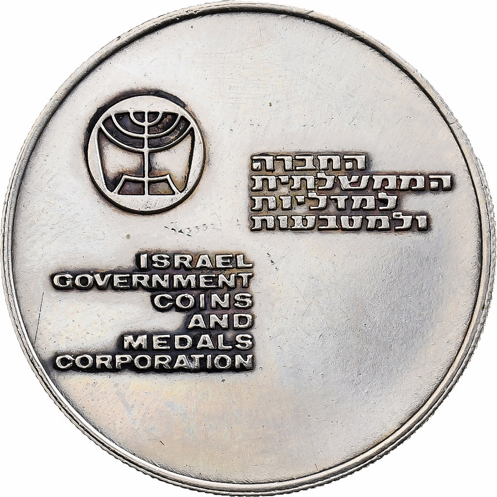 Israel, medal, Peace and Prosperity, 1966, Mosiądz niklowy, AU(55-58)