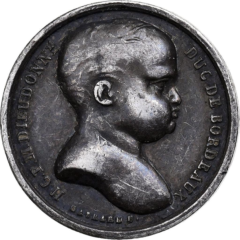 Francia, medaglia, Henri Dieudonné, Corporation des Charbonniers, Argento