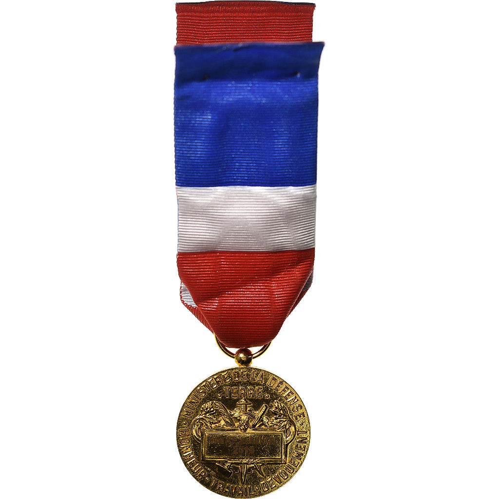 Frankreich, Ministère de la Défense, Terre, Medaille, 2018, Excellent Quality