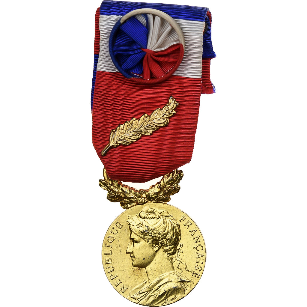 France, Ministère des Affaires Sociales, Médaille, 1973, Palme, Excellent