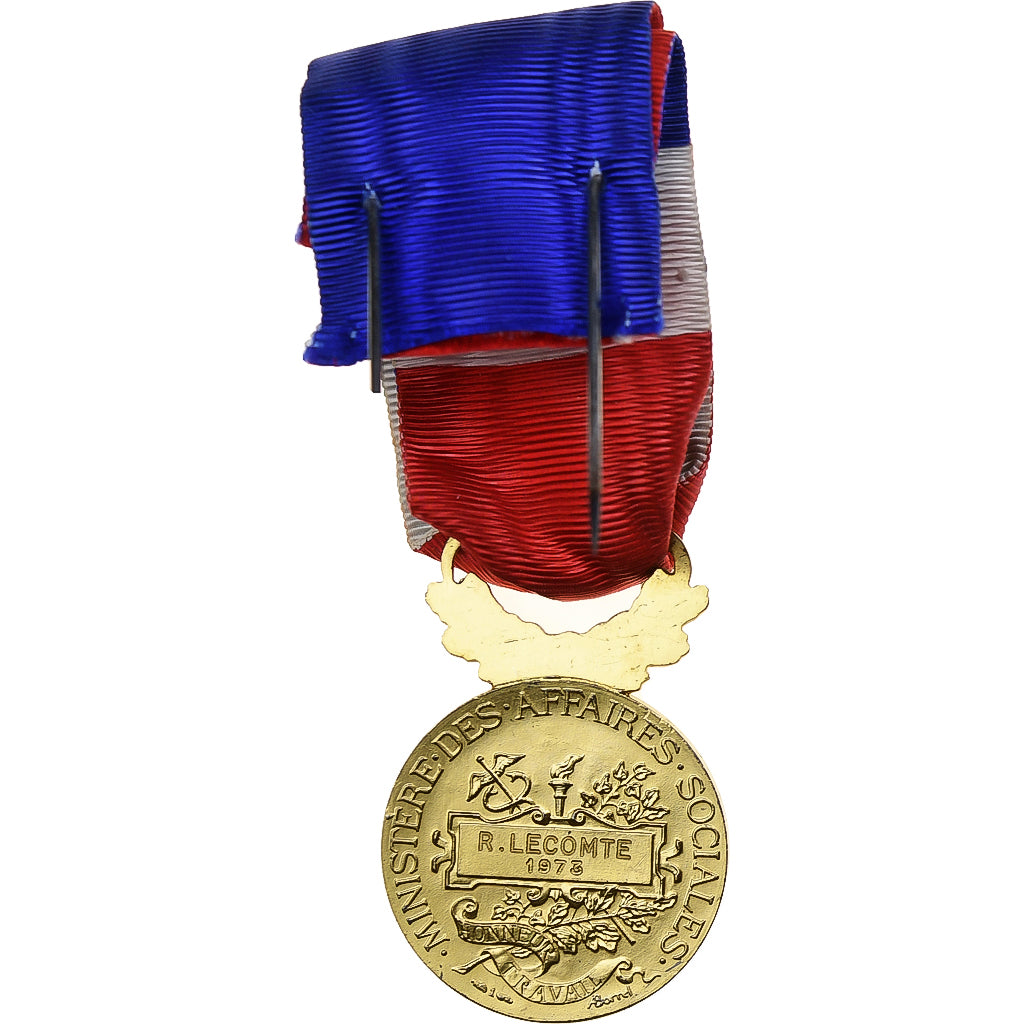 France, Ministère des Affaires Sociales, Médaille, 1973, Palme, Excellent