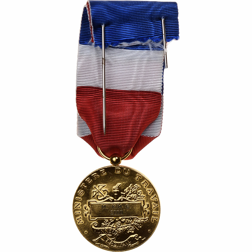 France, Honneur-Travail, République Française, Médaille, 2000, Excellent