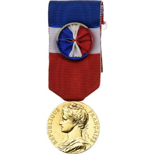 France, Honneur-Travail, République Française, Médaille, 1996, Excellent