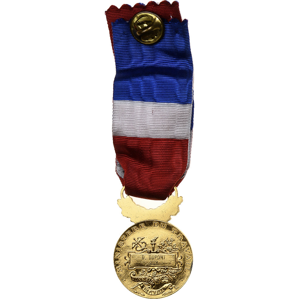 France, Honneur-Travail, République Française, Médaille, 2001, Palme