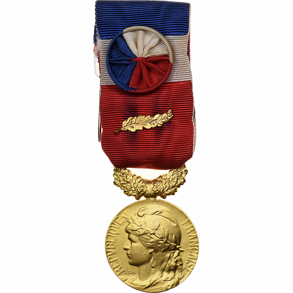 Frankreich, Honneur-Travail, République Française, Medaille, Palme, Excellent