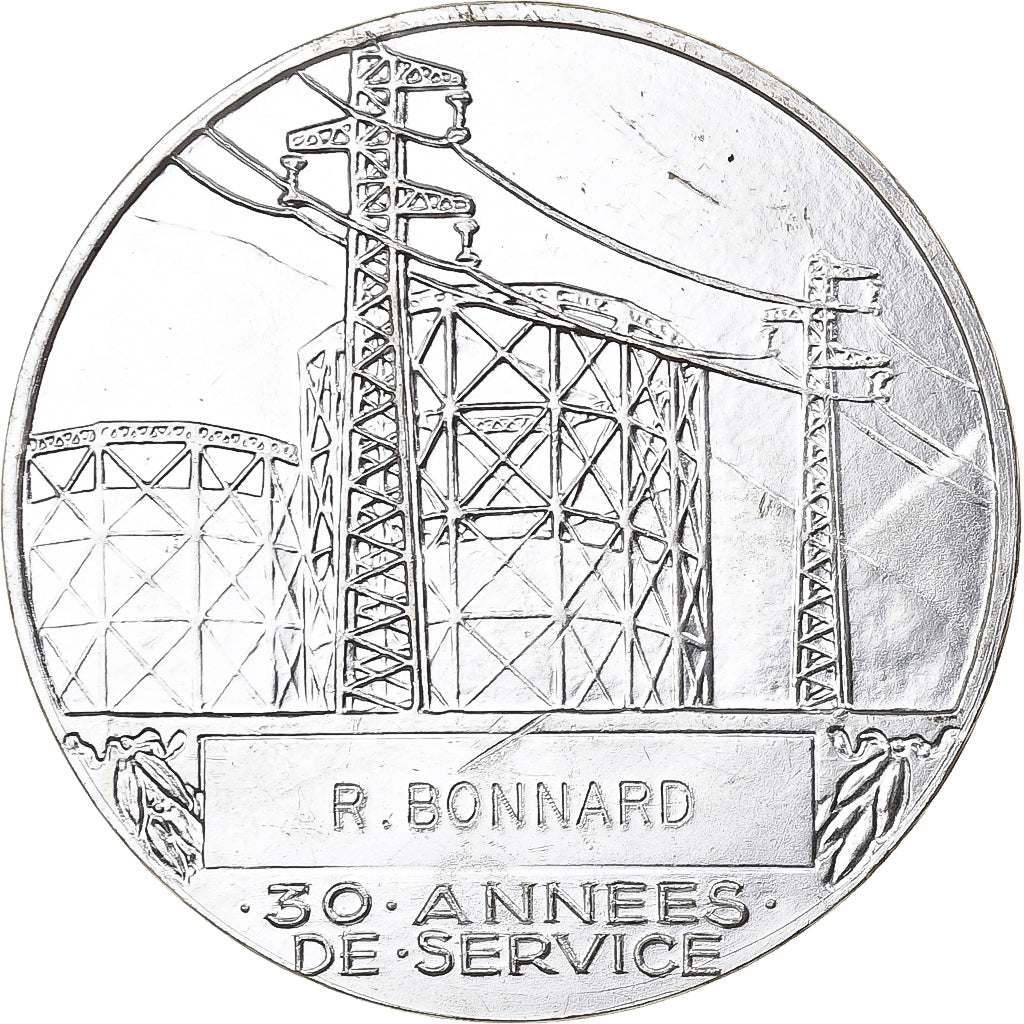 Frankreich, Medaille, Électricité de France et gaz de France, Silvered bronze