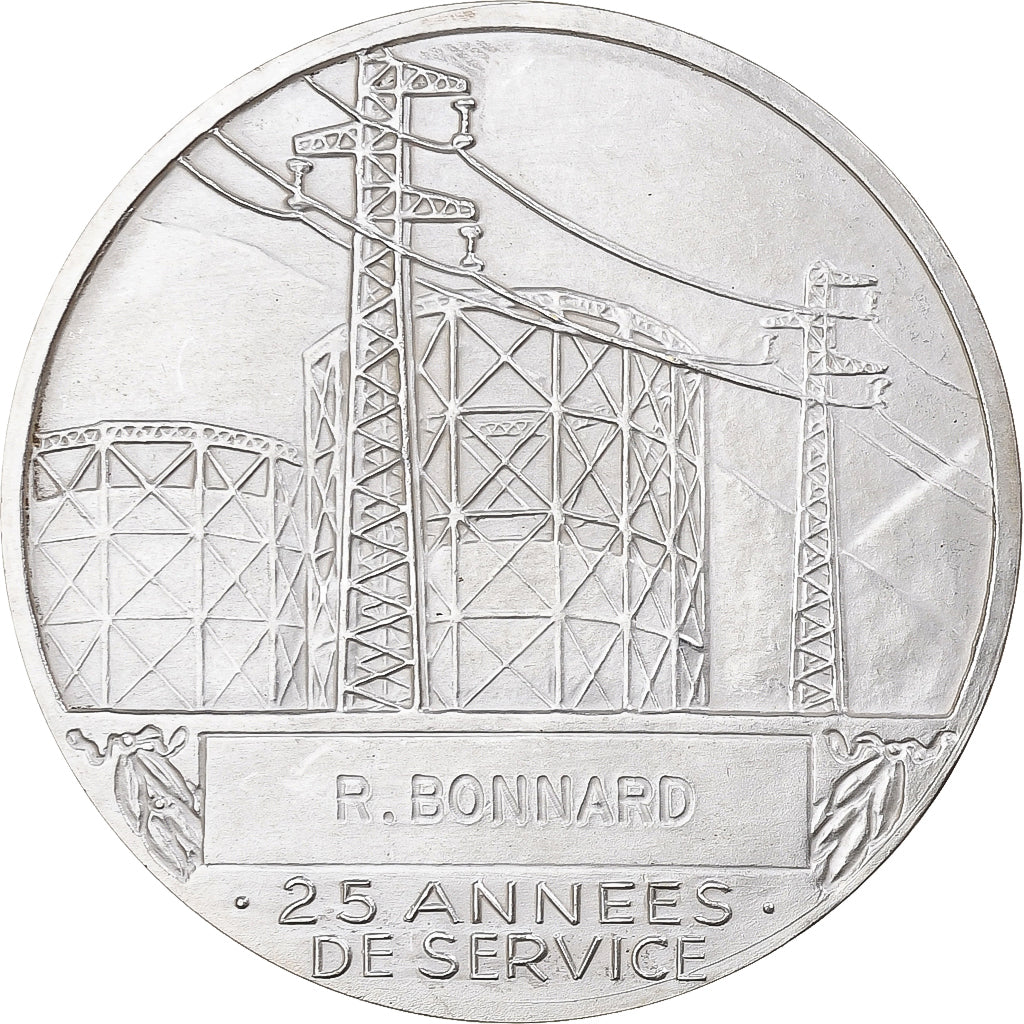 Francia, medaglia, Électricité de France et gaz de France, Bronzo argentato