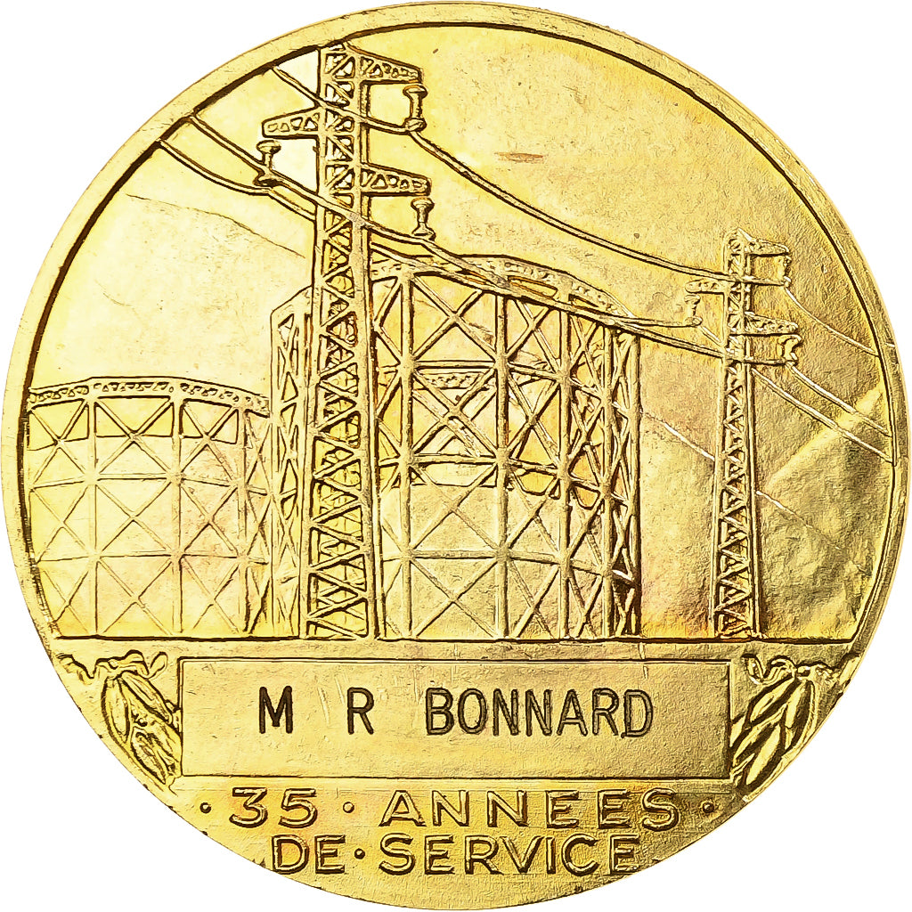 Francia, medaglia, Électricité de France et gaz de France, Bronzo dorato